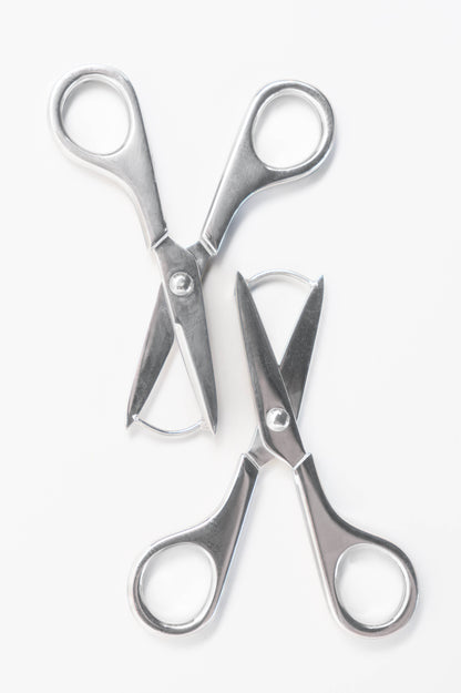 Scissor Earrings in Silver